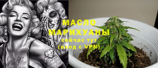 сатива Армянск