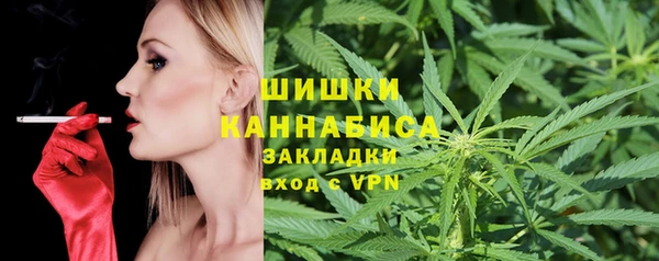 трава Арсеньев