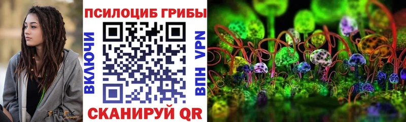 Галлюциногенные грибы мицелий  дарнет шоп  Вытегра 
