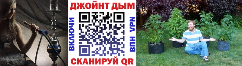 Конопля OG Kush Вытегра